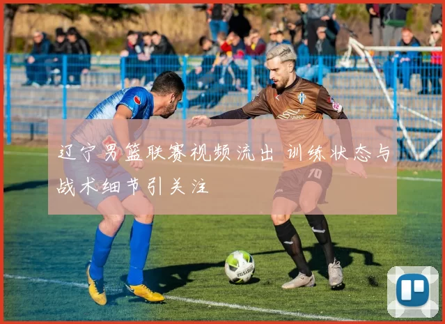 辽宁男篮联赛视频流出 训练状态与战术细节引关注