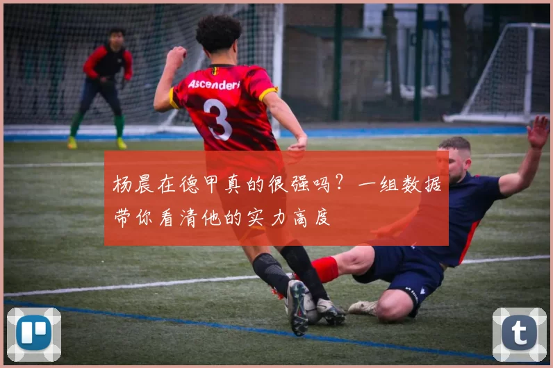 杨晨在德甲真的很强吗？一组数据带你看清他的实力高度