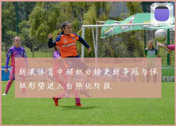 新浪体育中超积分榜更新争冠与保级形势进入白热化阶段