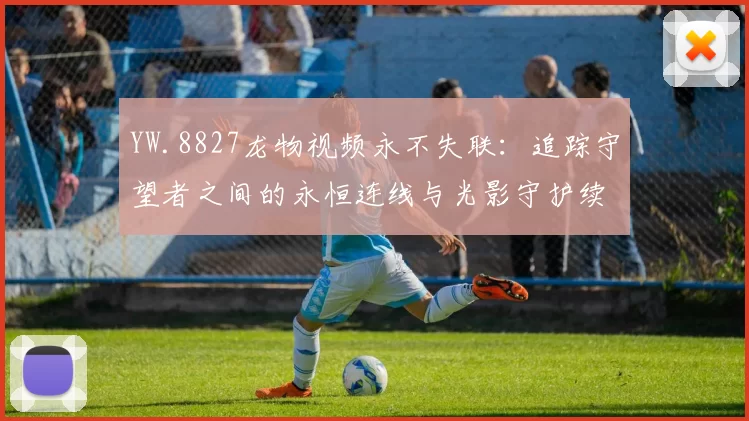 YW.8827龙物视频永不失联：追踪守望者之间的永恒连线与光影守护续写传奇