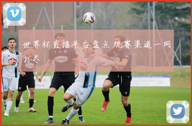 世界杯直播平台盘点 观赛渠道一网打尽