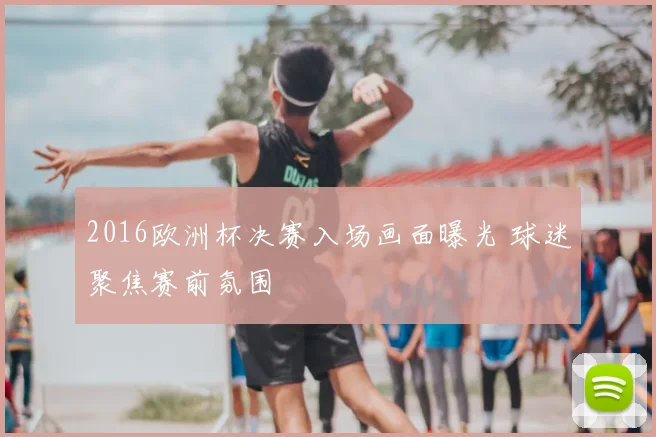 2016欧洲杯决赛入场画面曝光 球迷聚焦赛前氛围