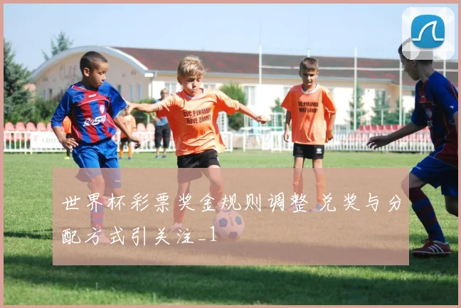世界杯彩票奖金规则调整 兑奖与分配方式引关注_1